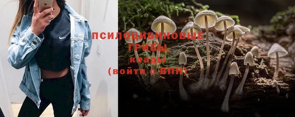 дмт Верхний Тагил